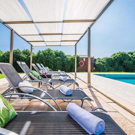 Ideal Property Mallorca - Villa Del Nord Sa Pobla Dış mekan fotoğraf